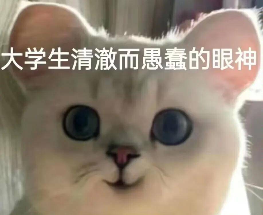 苹果版被窝打不开
:第二十一天每天十个幽默段子-第10张图片-太平洋在线下载