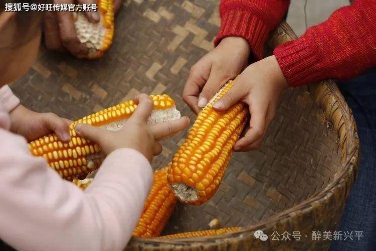 玉米传媒安卓版玉米视频APP成人版-第2张图片-太平洋在线下载