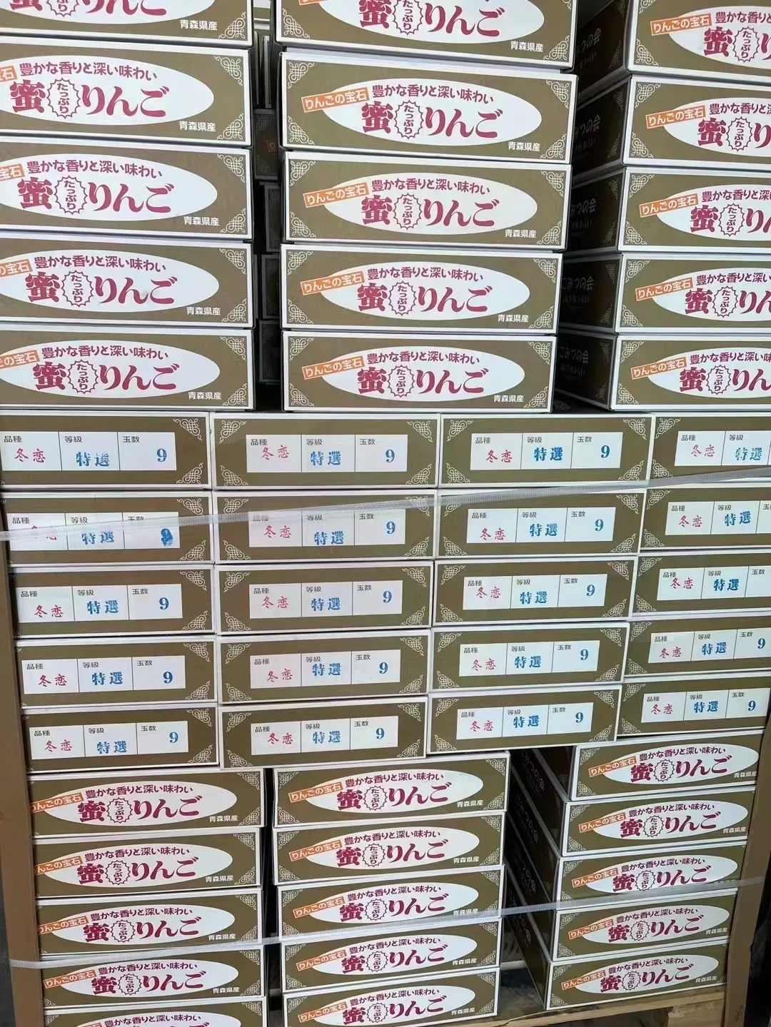 冬恋苹果日语版冬恋日语版翻译全文-第1张图片-太平洋在线下载